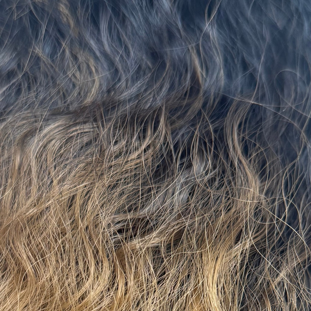 Color 1BTT27