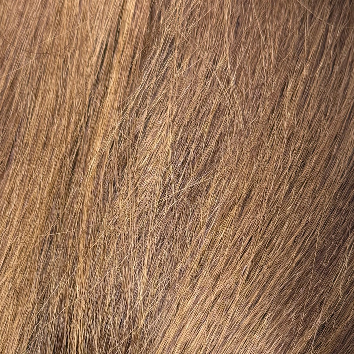 Color 6AH27